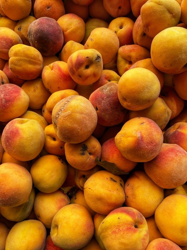 Quels sont les meilleurs spots pour la pêche au saumon en Alaska?